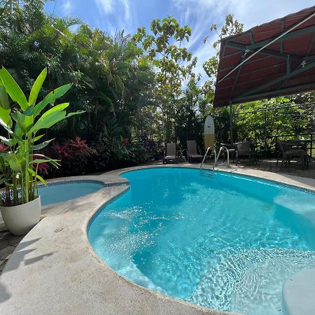 La Jungla Bed & Breakfast Puerto Carrillo Ngoại thất bức ảnh