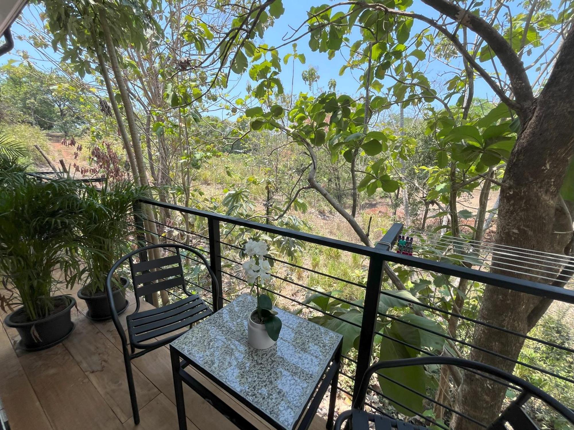La Jungla Bed & Breakfast Puerto Carrillo Ngoại thất bức ảnh